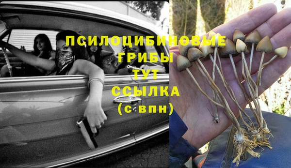 spice Баксан