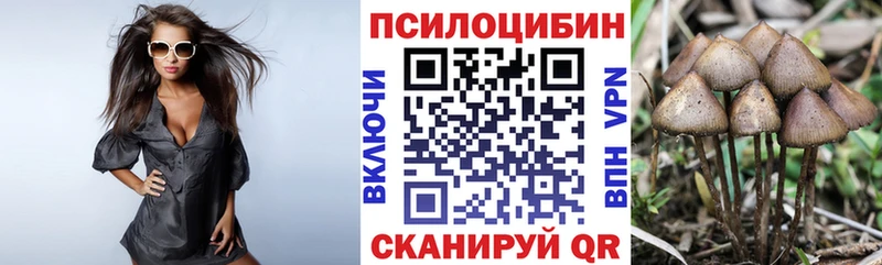 blacksprut   Каменск-Уральский  Галлюциногенные грибы Magic Shrooms 